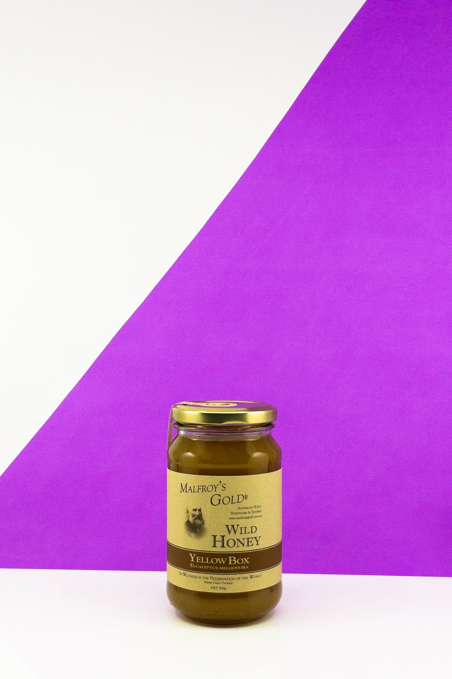 Malfroy's Gold Wild Honey Yellow Box Eucalyptus Mellidora