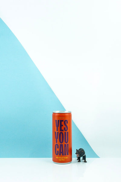 Yes You Can Drink – The Non Alcoholic Club