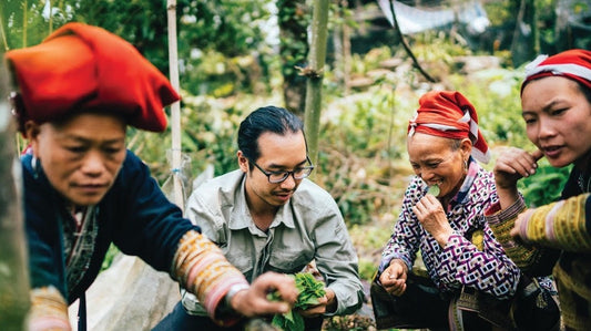 SÔNG CÁI DISTILLERY