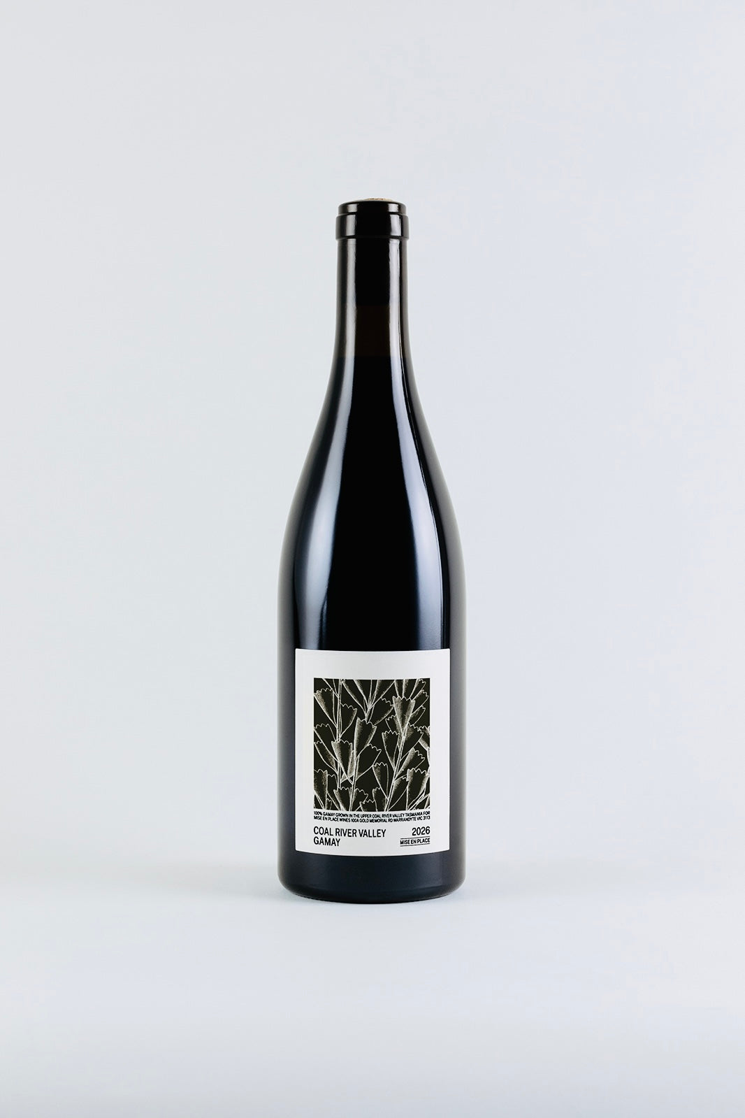Mise En Place Gamay 2026