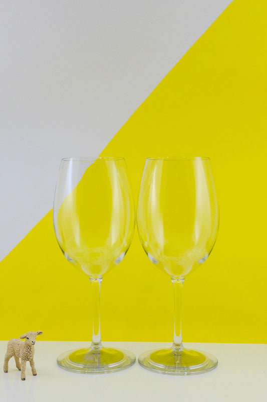 Stay Glassy The Entertainer Premium Plastic Wine Glass (Pair)