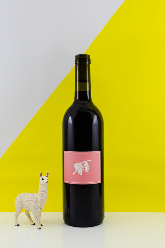 Joshua Cooper Light Red 2025