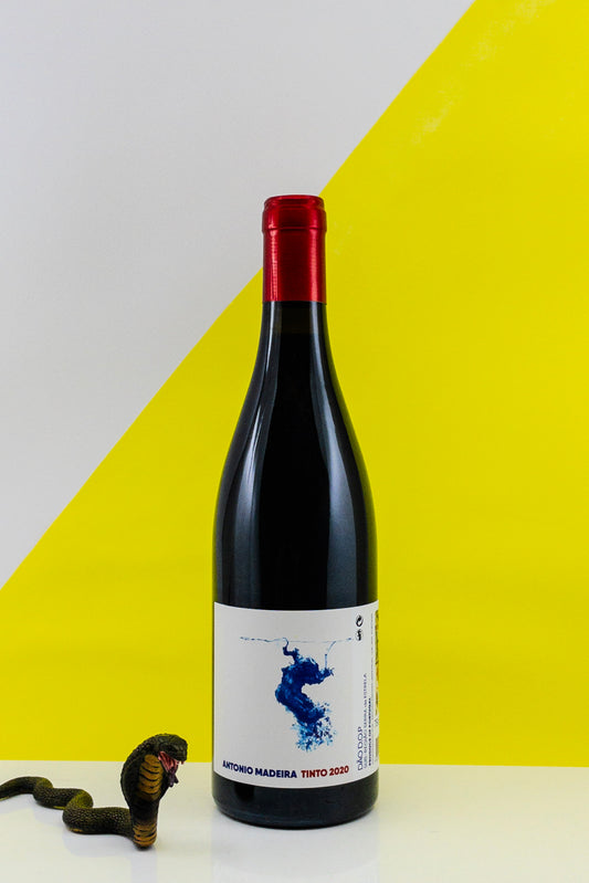 Antonio Madeira Tinto 2020