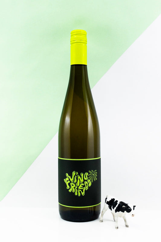 Vino Friendo Fiano 2025