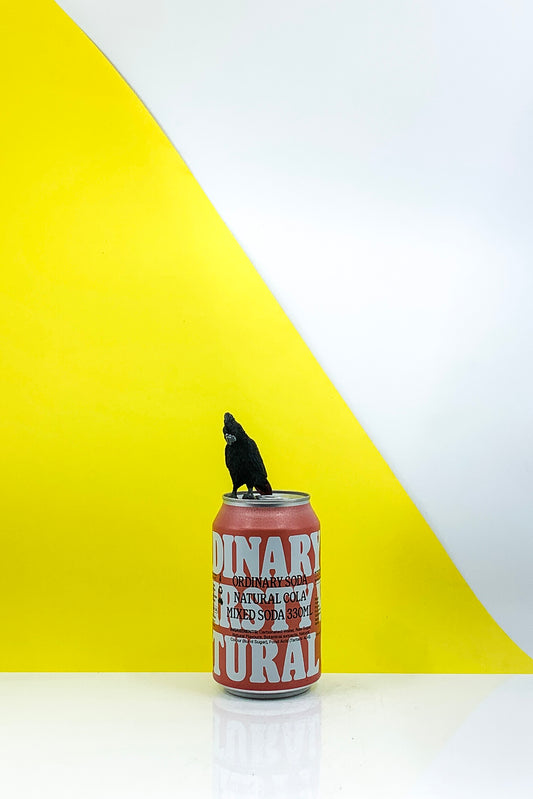 Ordinary Soda Natural Cola