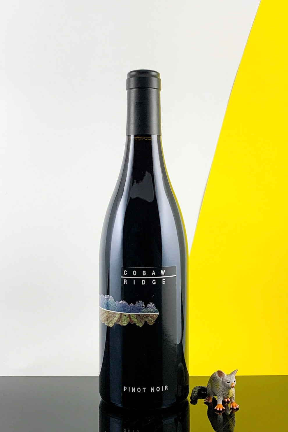 Cobaw Ridge High Density Pinot Noir 2024 – P&V Merchants
