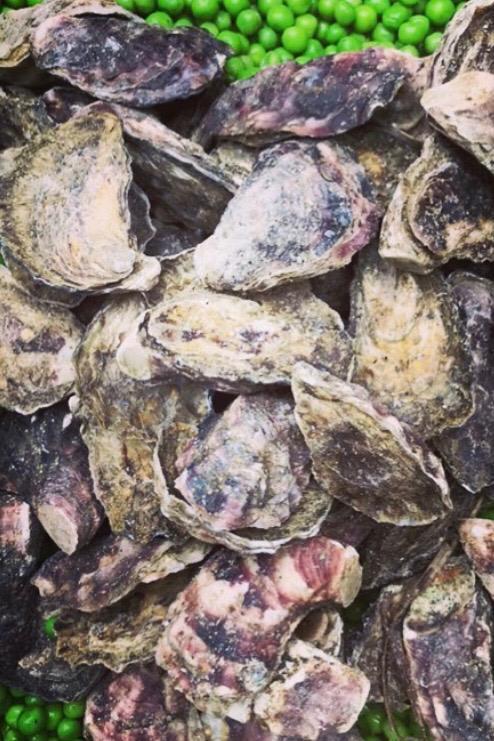 Wapengo Organic Oysters MINETT MAN DELIVERY or PICKUP INSTORE ONLY