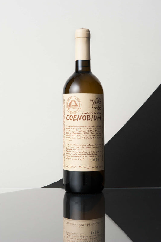 Monastero Suore Cistercensi Coenobium 2024
