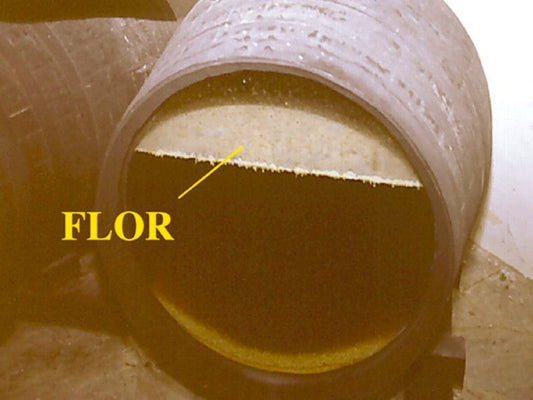 Jura Masterclass w/ Mike Bennie // Newtown // Thurs 5 February 2026 // 6.30-8.30pm