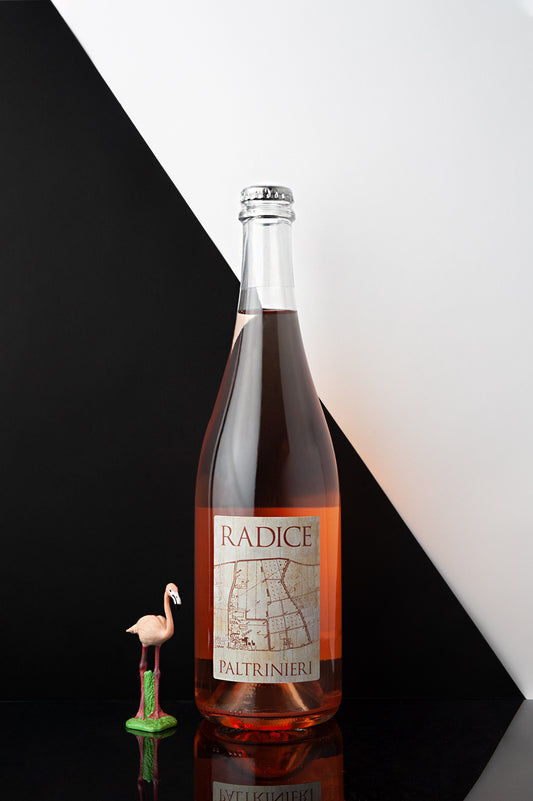 Paltrinieri Radice Lambrusco 2022