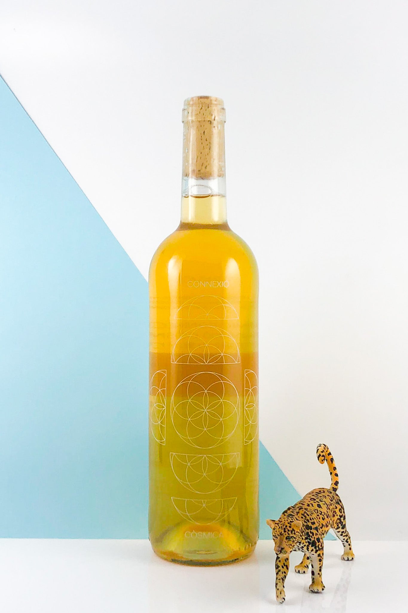 Cosmic Vinyaters Connexio Cosmica 2023