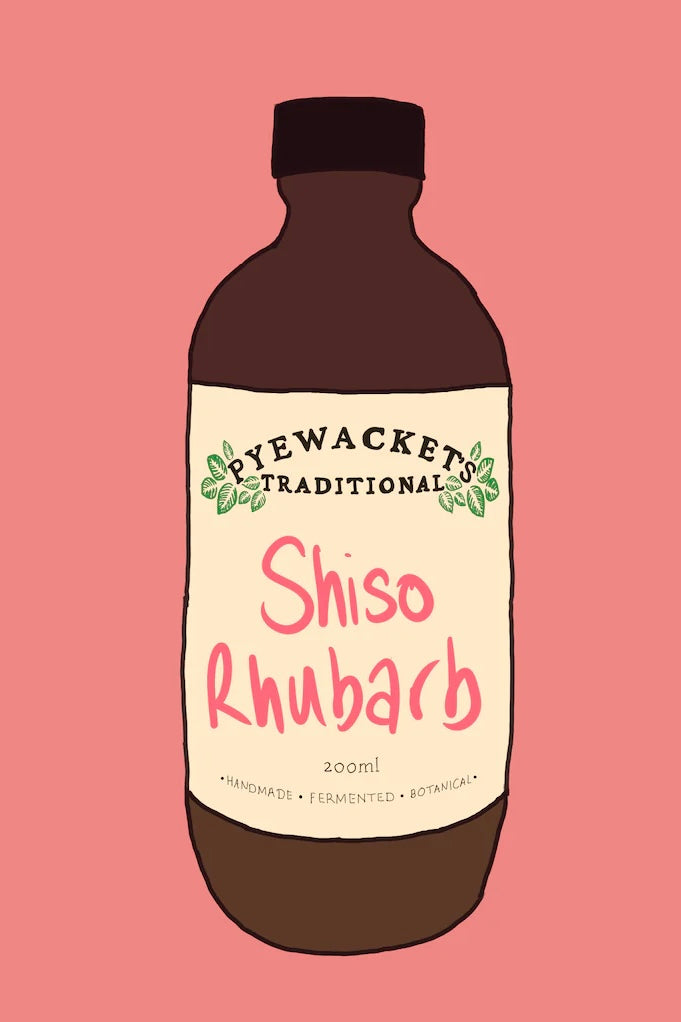 Pyewacket's Shiso Rhubarb Shrub 200ml